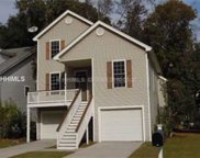Hilton Head Island image