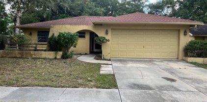 3101 Carriage Drive, Palm Harbor