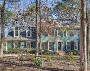 10315 Hanging Moss  Trail, Mint Hill image