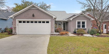 335 Chattooga Place Place, Wilmington