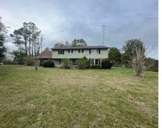135 SE HORACE WITT WAY, Lake City image