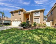 2822 Cayenne Ave, Cooper City image