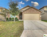 907 House Sparrow, San Antonio image