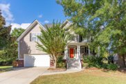 195 Oak Point Landing Drive, Mount Pleasant image