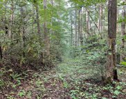00 East Fork Church Road, Sylva image