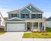 3017 Ambrosia, Duncan image