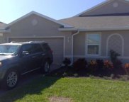 2080 Pigeon Plum Way, North Fort Myers image