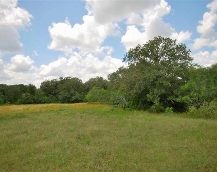 3892 County Rd 397, Gonzales