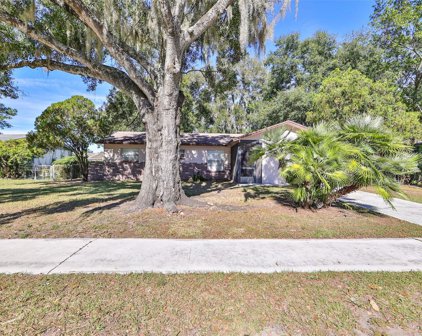 507 Robin Hill Circle, Brandon