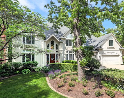 239 Fiala Woods Court, Naperville