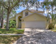 12331 Glenfield Avenue, Tampa image