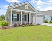 2393 Blue Crane Circle, Myrtle Beach image
