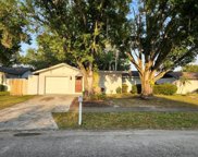 14509 Sutter Place, Tampa image