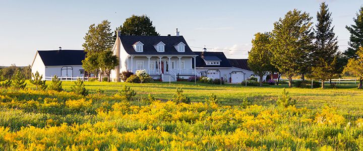 Country Living