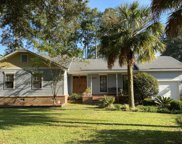 202 Harlesden Ln Lane, Summerville image