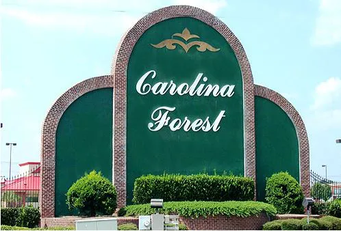 Carolina Forest Homes