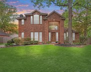 2911 Heather Lake Court, Houston image