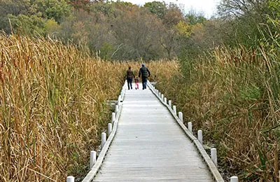 trail in cushing memorial park