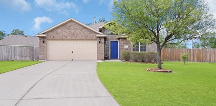 10204 Jewel Court, Conroe
