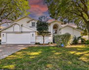 1419 Holleman Drive, Valrico image