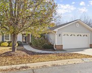 60 River Birch Way, Greer image