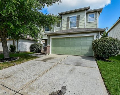 315 Mantova Drive, Houston