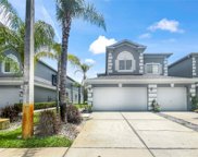 18147 Nassau Point Drive, Tampa image