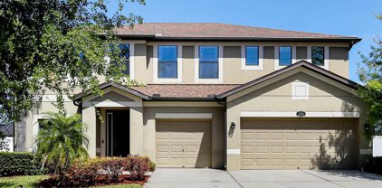 11804 Harpswell Drive, Riverview