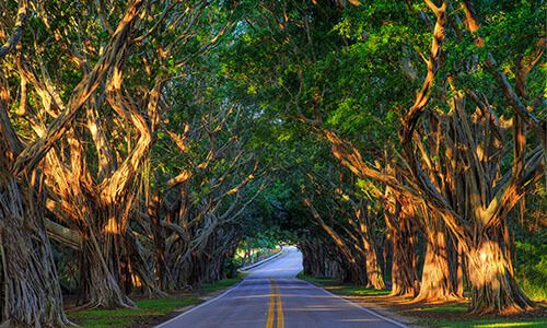 Hobe Sound Real Estate