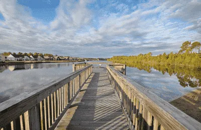 Homes for Sale in Berkshire Forest Myrtle Beach SC