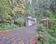 16343 Rio Nido Road, Guerneville image