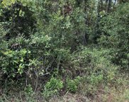 805 Bienville Boulevard, Dauphin Island image