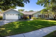 4222 Cartnal Avenue, Tampa image