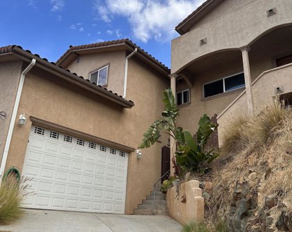 9608 Eucalyptus St, Spring Valley