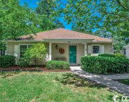 6524 White Heron Crescent, Myrtle Beach image