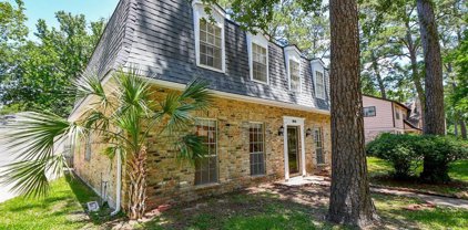 1207 Burnwood Lane, Houston