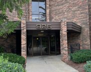 925 Spring Hill Drive Unit #112, Northbrook image