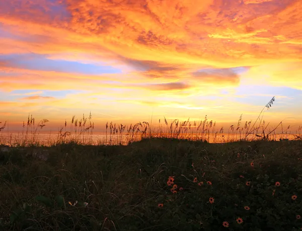Search Cape Coral homes and find Cape Coral real estate.