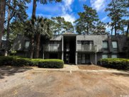 435 Salt Marsh Circle Unit 19-C, Pawleys Island image