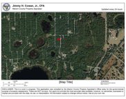 TBD Ne 117th Ct Road, Fort Mc Coy image