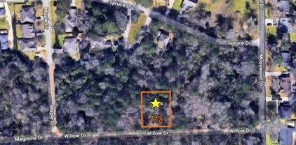 TBD WILLOW DRIVE, LOT 118, Conroe