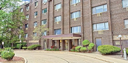 8444 W Wilson Avenue Unit #207S, Chicago