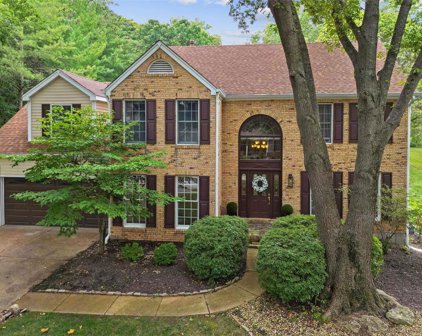 651 Mcbride Pointe  Drive, Wildwood