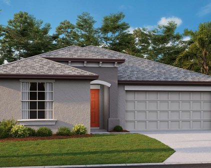 5340 Blue Horizon Way, Wimauma