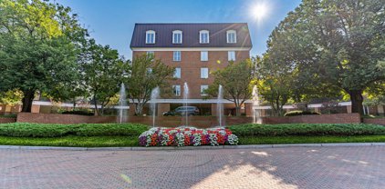 8101 Connecticut Ave Unit #N409, Chevy Chase