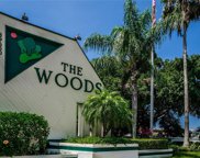 39650 Us Highway 19  N Unit 171, Tarpon Springs image