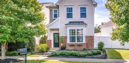 13743 Bonnerby  Court, Huntersville