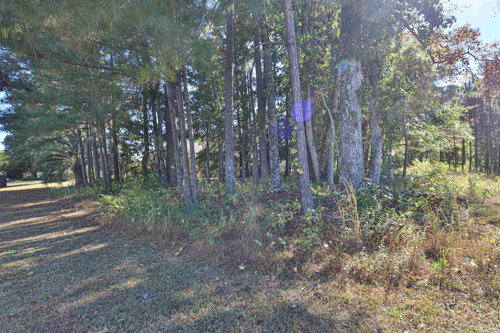 MLS 2124250 Long Bay Lot 22 Bear Lake Dr., Longs Longs