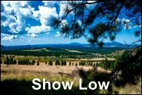 Show Low Homes for Sale