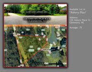 110 Asbury Place Court, Clemmons image